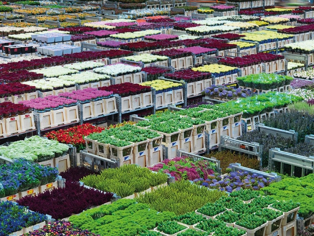 Hillenraad-Partners---specialist-in-het-oplossen-van-strategische-vraagstukken-in-markt,-organisatie-en-innovatie---3